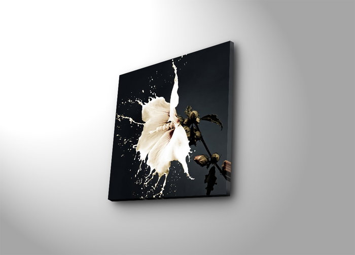 Wallity Lienzo Decorativo 4545K-20 Multicolor 45 x 45 cm